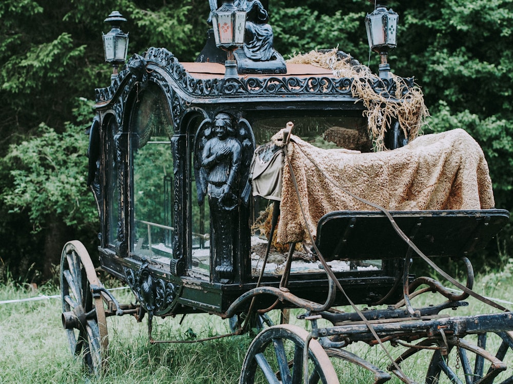 black and brown metal carriage on grass field